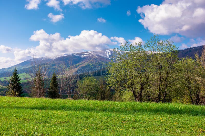 great outdoors on a sunny springtime day.