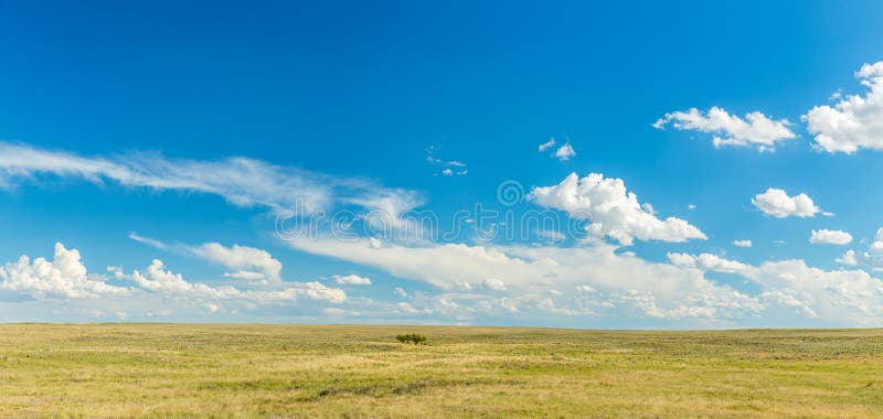 Temperate Grasslands Stock Photos - Free & Royalty-Free Stock Photos from Dreamstime Temperate Grasslands Stock Photos - Free & Royalty-Free Stock Photos from Dreamstime