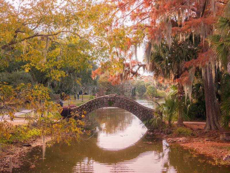 Great point of view in the beautiful City Park of New Orleans durng the sunset royalty free stock images Great point of view in the beautiful City Park of New Orleans durng the sunset royalty free stock images