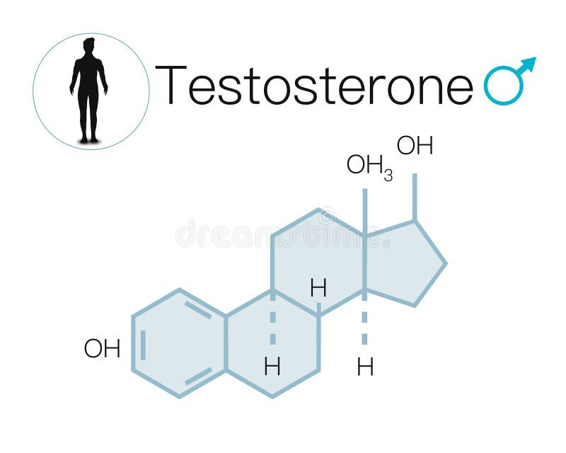 Hormones Testosterone Stock Illustrations 373 Hormones Testosterone Stock Illustrations