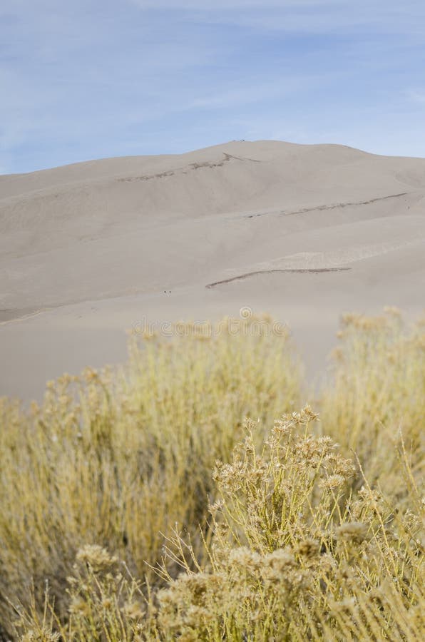 Great Sand Dunes National Park and Preserve