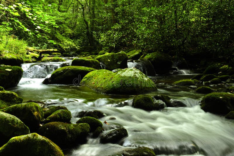 Great Smokey Mountains National Park. A river running through the Great Smokey Mountains National Park royalty free stock photo Great Smokey Mountains National Park. A river running through the Great Smokey Mountains National Park royalty free stock photo