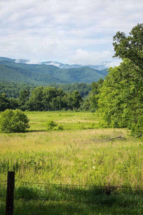 Great Smoky Mountains royalty free stock photography Great Smoky Mountains royalty free stock photography