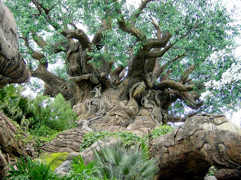 The Great Tree