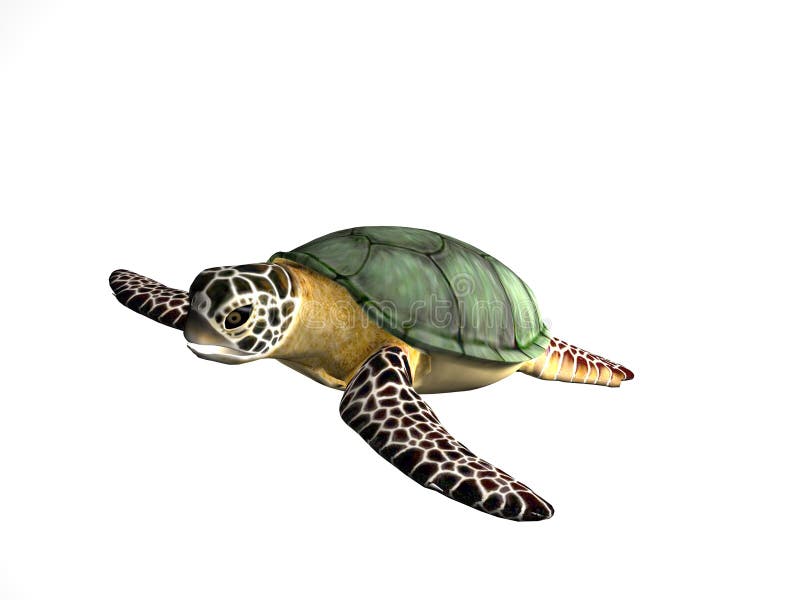 Great Turtle stock illustration