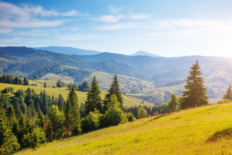 Great View of the Alpine Valley. Location Place Carpathian, Ukraine ...