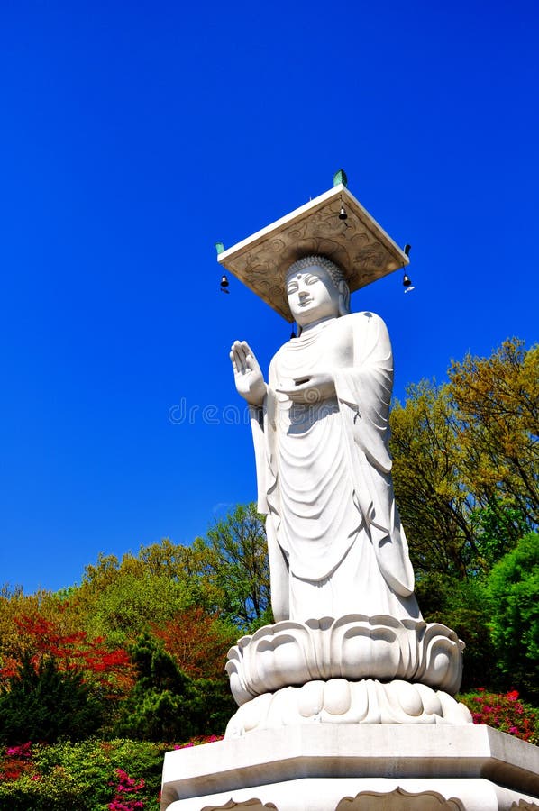 Great White Buddha Statue in Korea Stock Photo Image of white, temple