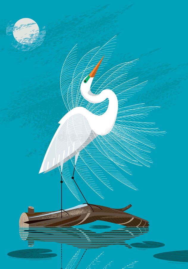 Great White Egret vector illustration