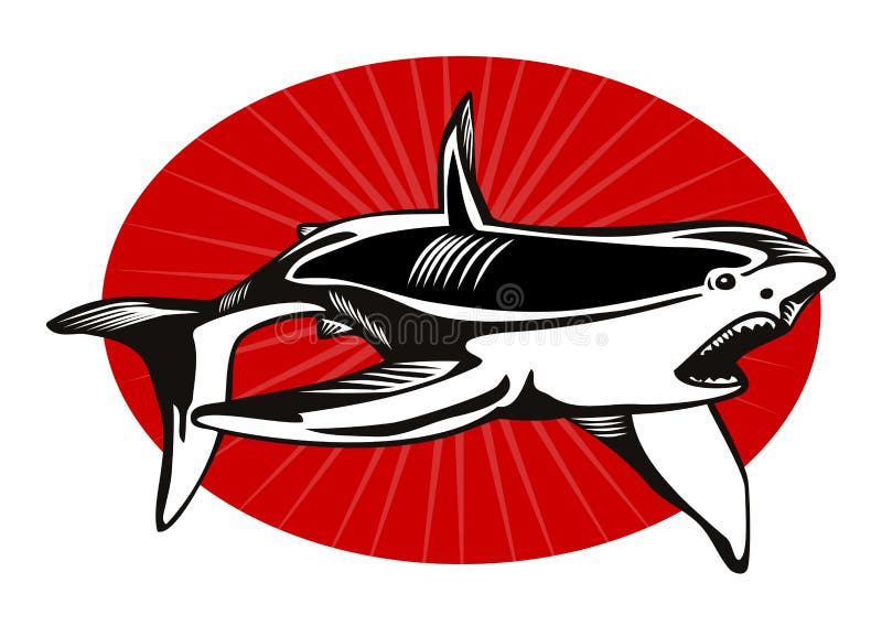 Great white shark royalty free illustration