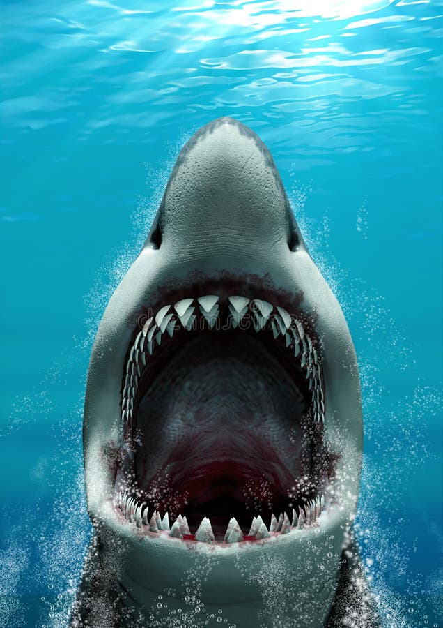 Great White Shark attacking with its mouth open and large teeth