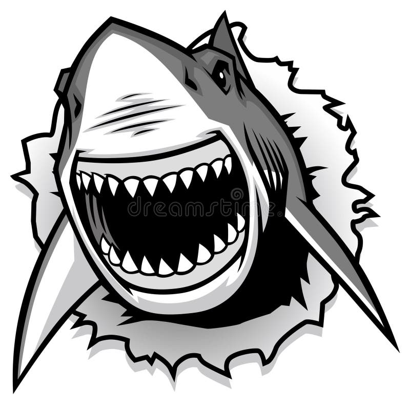 Great White Shark ripping with opened mouth stock illustration