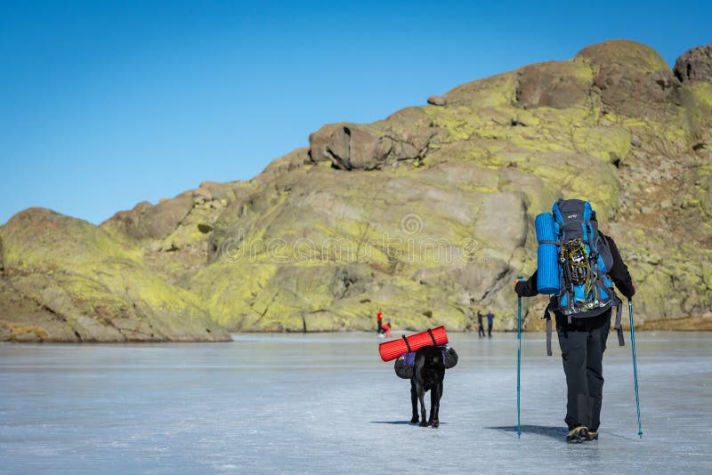 Gredos, Spain. 12-January-2019. Trekker and his dog walking above frozen lake during a sunny winter day royalty free stock photo Gredos, Spain. 12-January-2019. Trekker and his dog walking above frozen lake during a sunny winter day royalty free stock photo