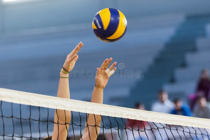 Volleyball stock photo. Image of beauty, exercise, fitness - 12259968