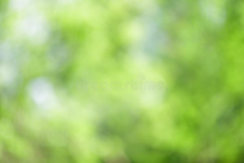 Green Abstract Forest Nature Background