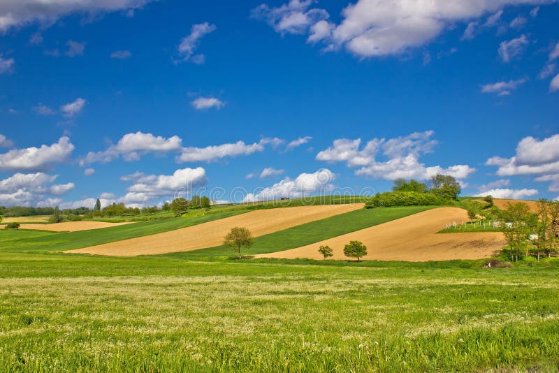 Green agricultural landscape under blue sky royalty free stock images