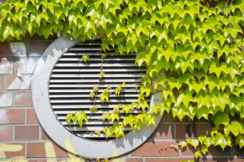 Green air conditioner stock photo. Image of nature, summer 19489602