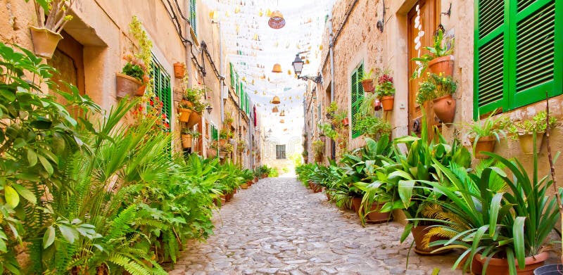 Green alley in Valldemossa, Mallorca