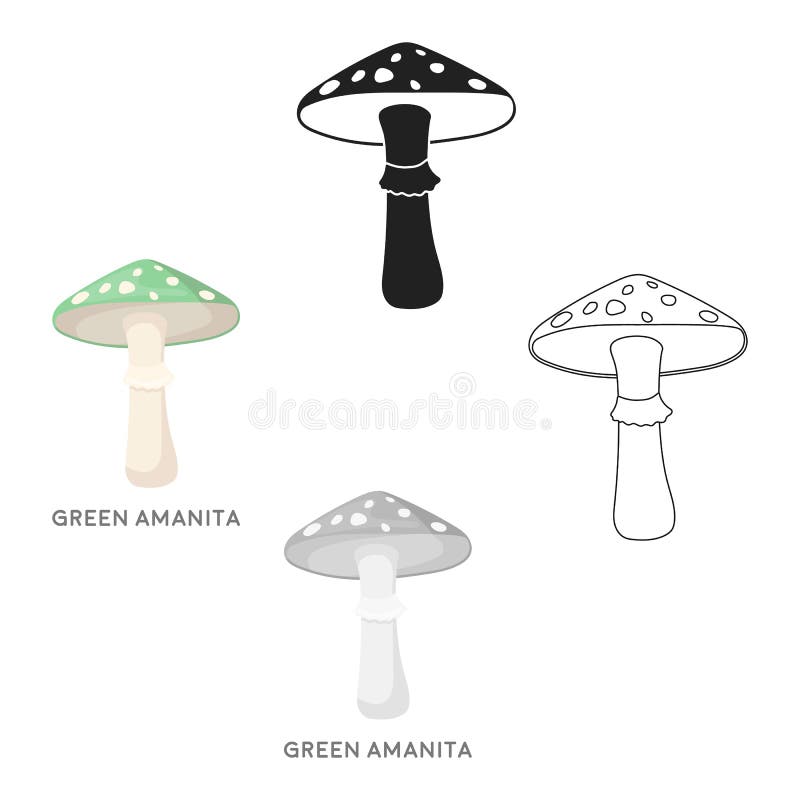 Green amanita icon in cartoon style isolated on white background. Mushroom symbol stock vector illustration. vector illustration