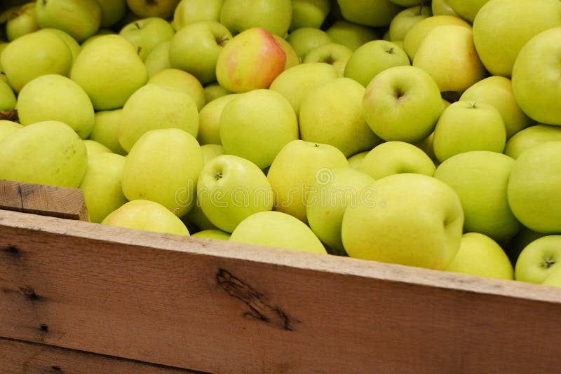 Green Apple Bin stock photo. Image of crate, green, pile 34679106