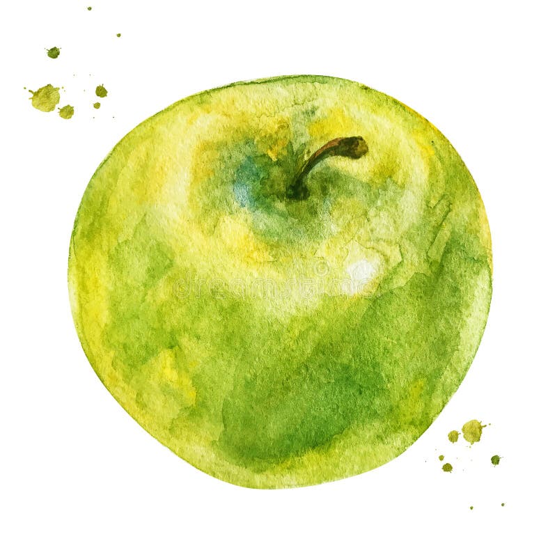 painting Green apples watercolor illustration fresh fruits digital