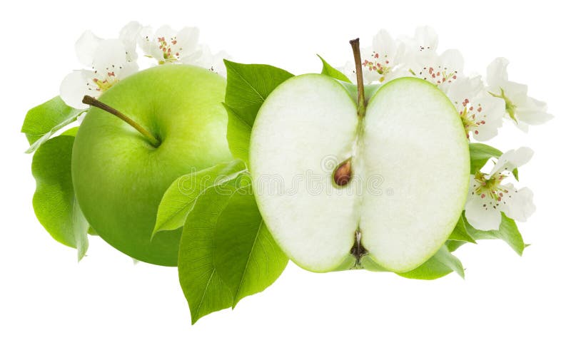 Green Apple and cut half piece slice with leaves and flowers isolated on white background as package design stock image Green Apple and cut half piece slice with leaves and flowers isolated on white background as package design stock image