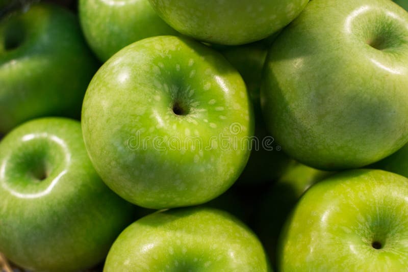 Green apple stock photo. Image of isolated, green, light 48040880