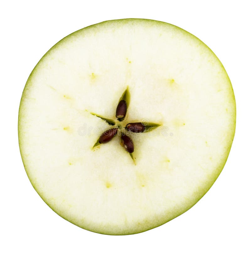 Green apple fruit slice stock photo. Image of apple, sliced - 42069360