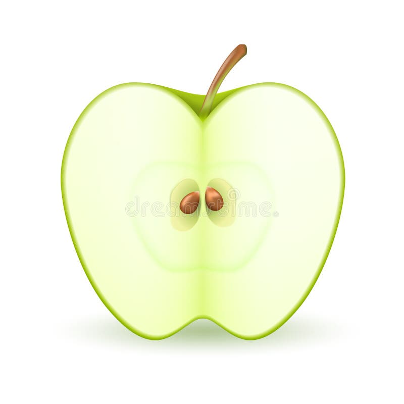 Половинка есть у яблока. Половинка яблока. Яблоко в разрезе. Яблоко симметрия. Зеленое яблоко в разрезе.