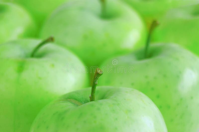 Green apples stock image