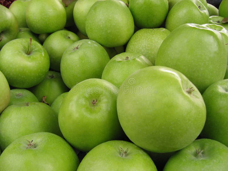 Green apples. stock photos
