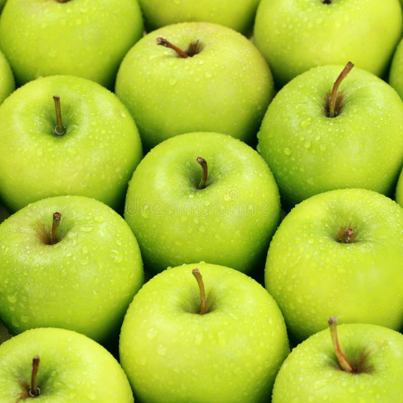 Green apples royalty free stock image