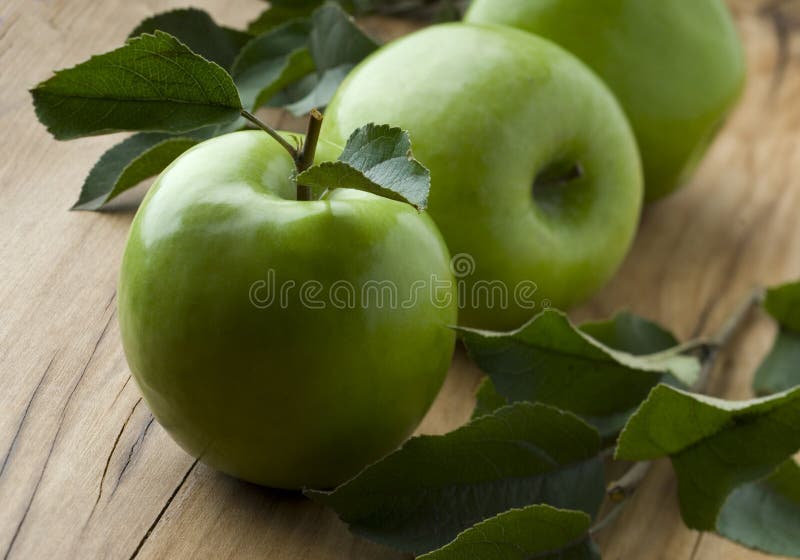 Green apples stock image
