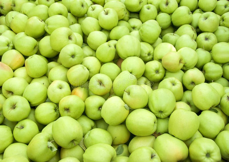 Green apples in bin royalty free stock photos