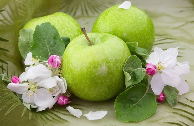 Apple with flower stock image. Image of background, blossom 19373365