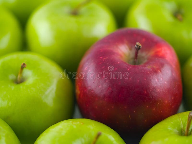 Granny Smith - Washington Apples