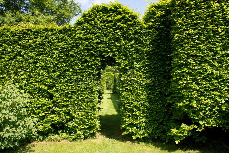 Green arch in garden