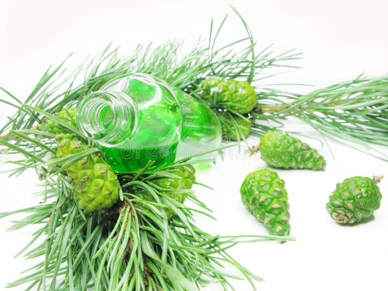 Green aroma oil with fir extract