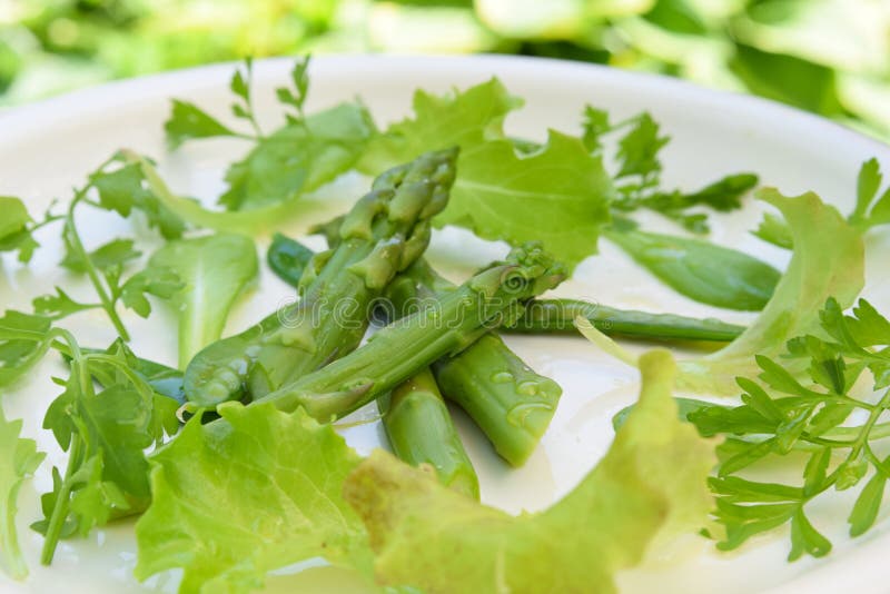 Green asparagus salad stock photo. Image of vegetables 71545906