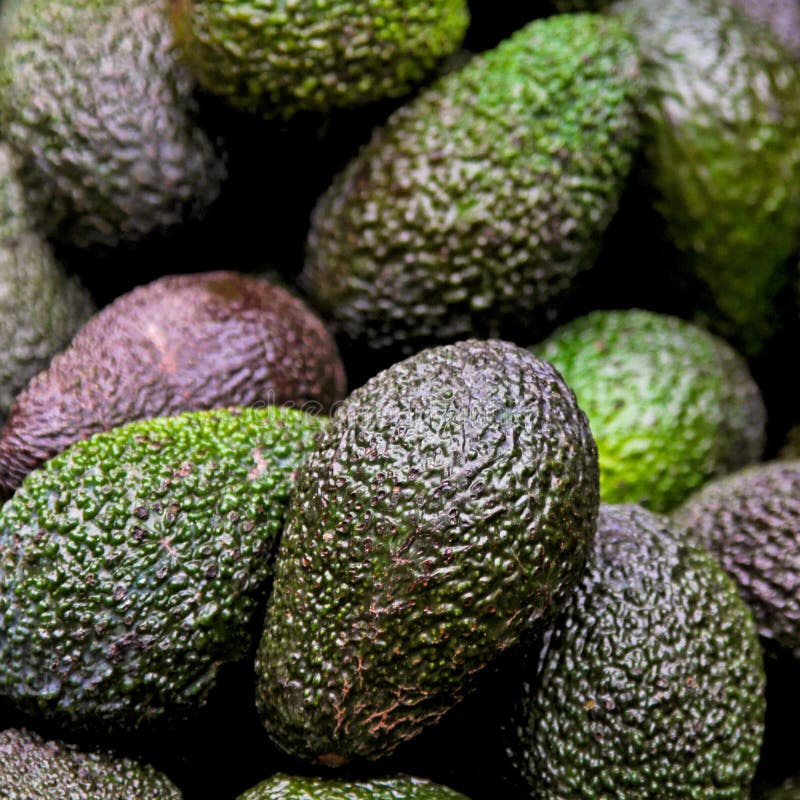 Green avocado stock image. Image of ingredients, food 21419727