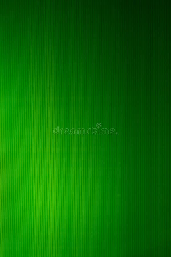Plain Default LIME GREEN or NEON GREEN Solid Color Background Empty Space  without Anything for Background of Studio Room and Stock Illustration -  Illustration of material, color: 220898415