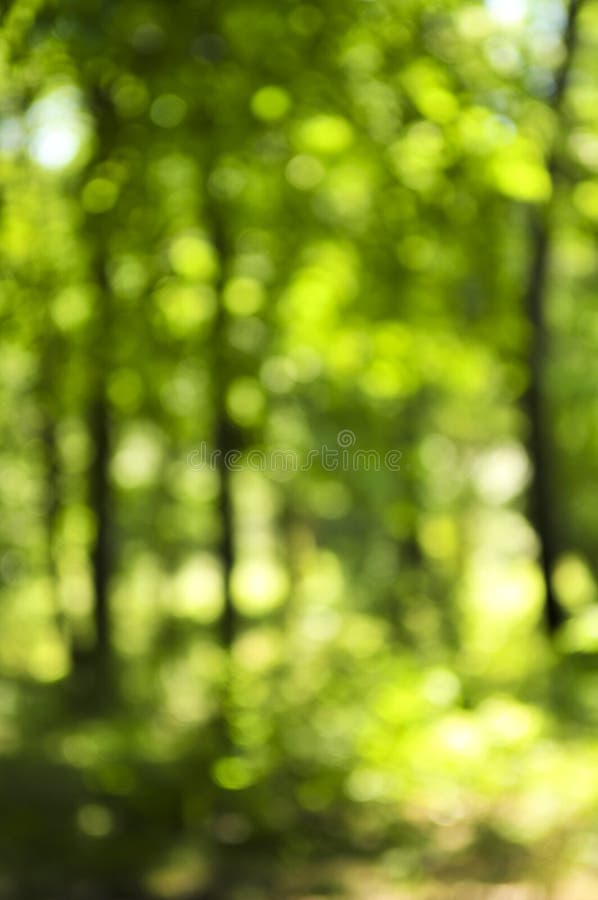 Details 200 green background photography