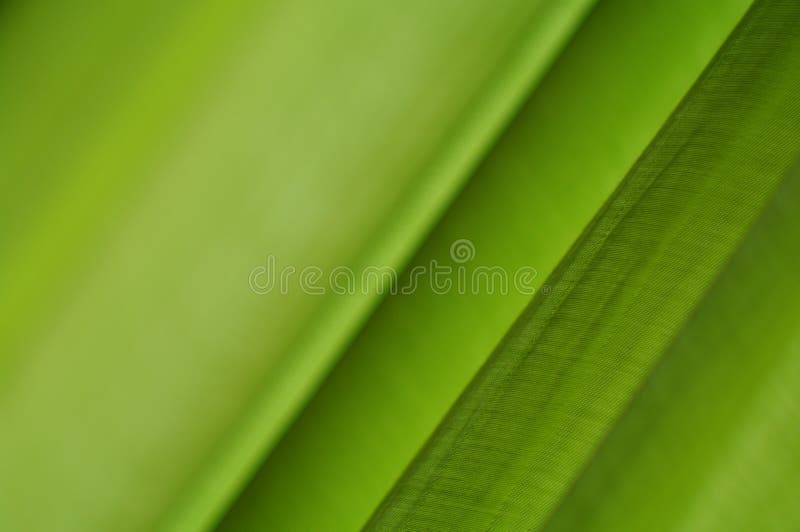 Green background with a beautiful cloth