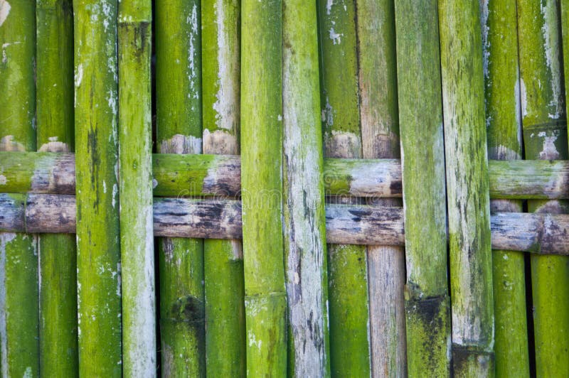 Green bamboo fence stock photo. Image of japan, bark 22801584