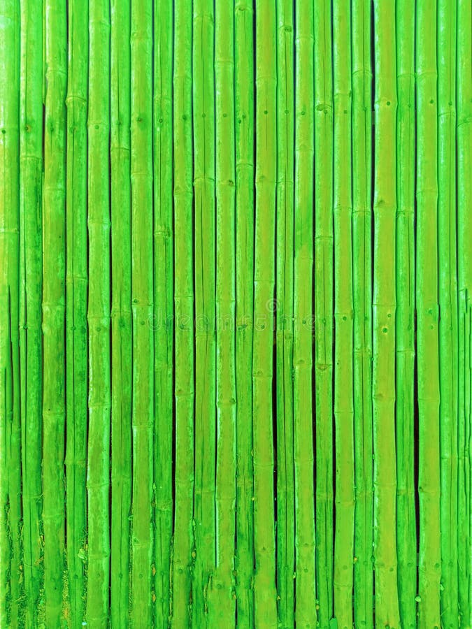 Green Bamboo Stick Texture And Pattern Stock Image Image of natural