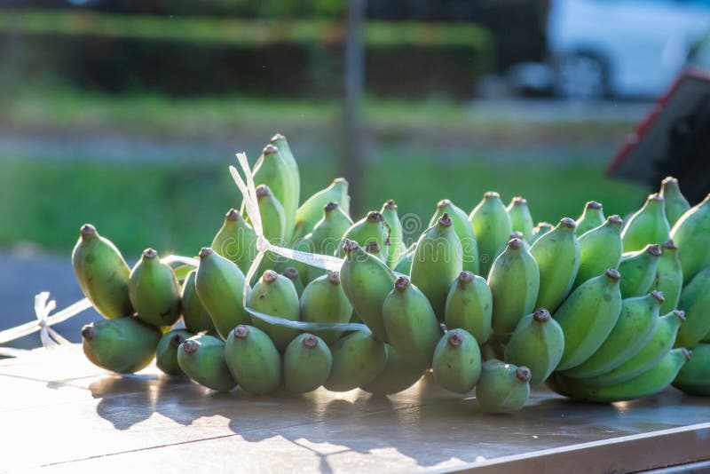 Green Bananas Will Ripen Eat Placed on the Table Stock Image Image of healthy, group 132896541