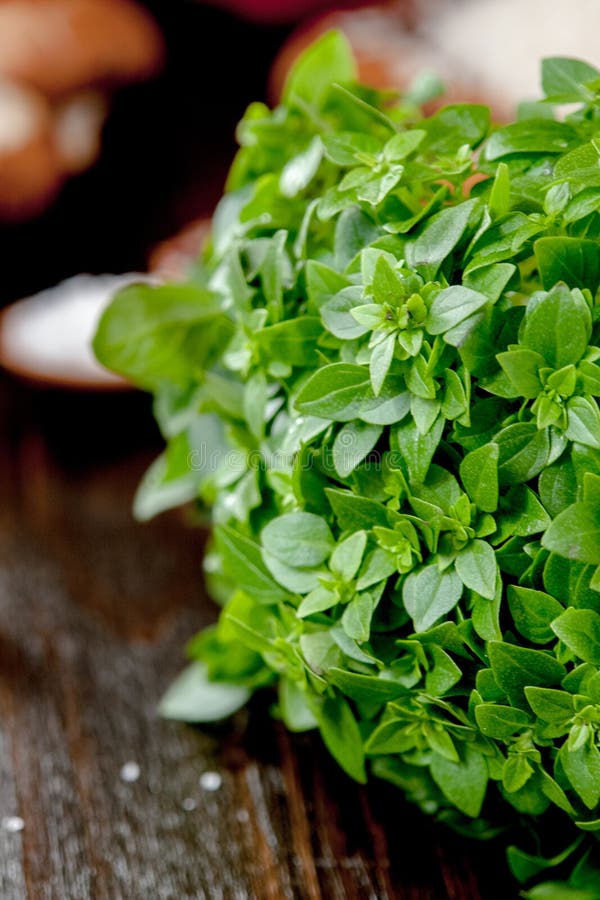 Green Basil Leaves on Kitchen Board with Vegetables. Stock Photo