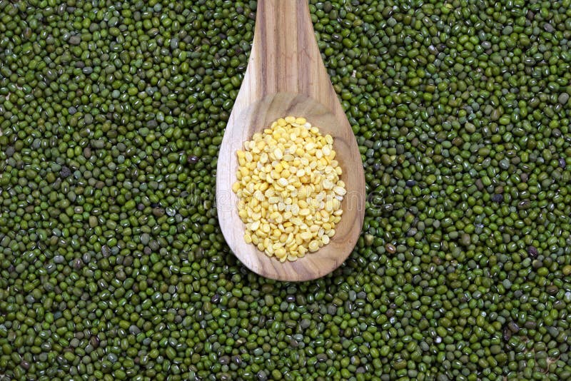 Green bean inside stock image. Image of inside, healthy 20062087