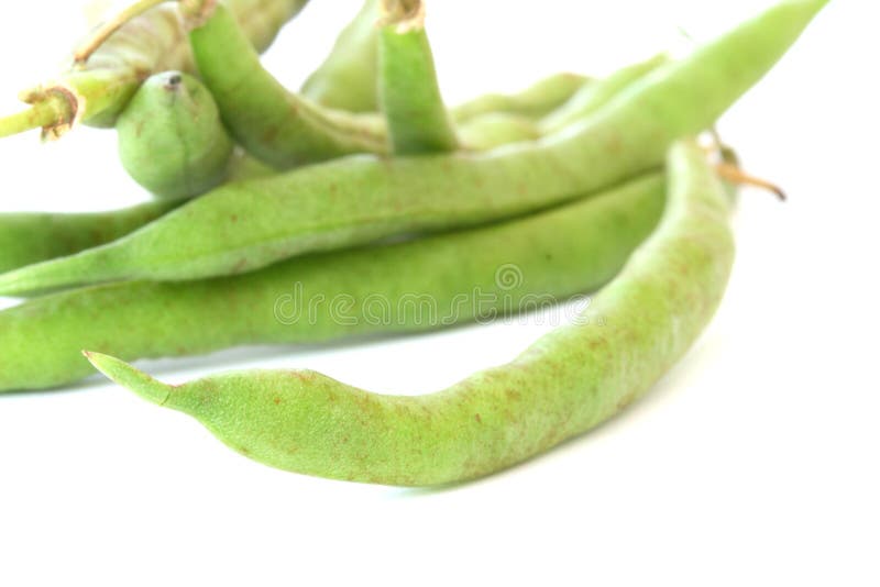Green bean pods detail stock image. Image of bean, isolation 18062817