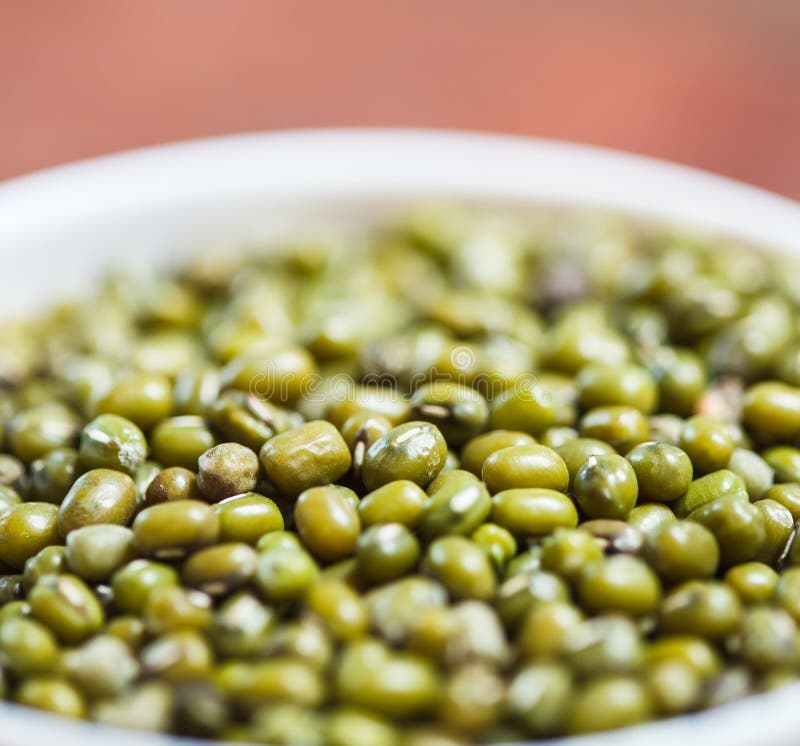 Green bean sprouts stock image. Image of nutrition, healthy 61607191