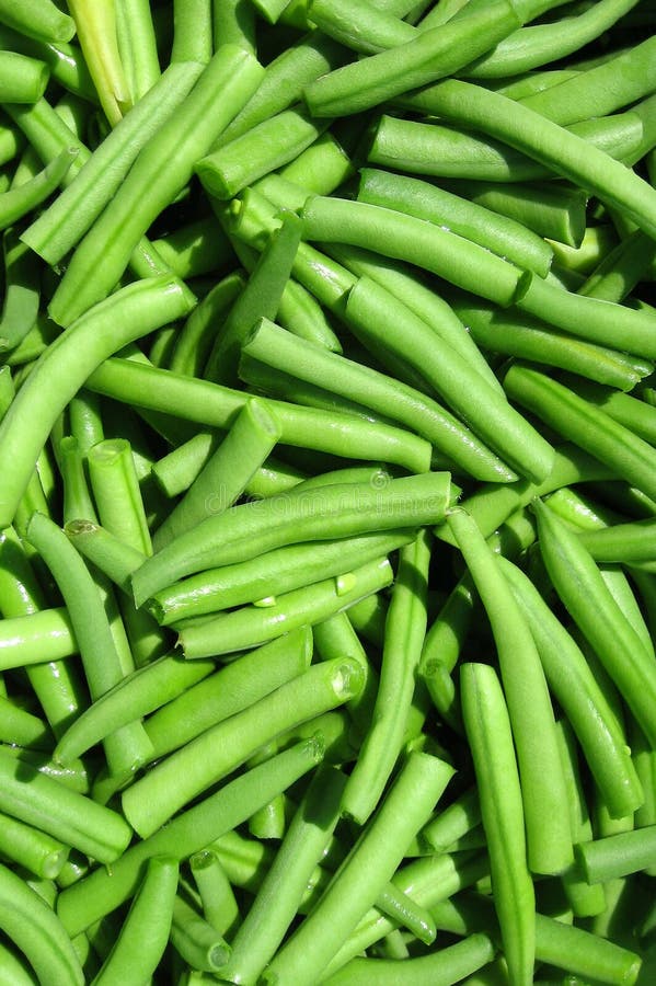 Green beans stock photo. Image of diet, dieting, appetite 41629126